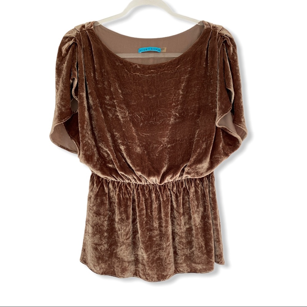 Alice + Olivia • Velvet Top